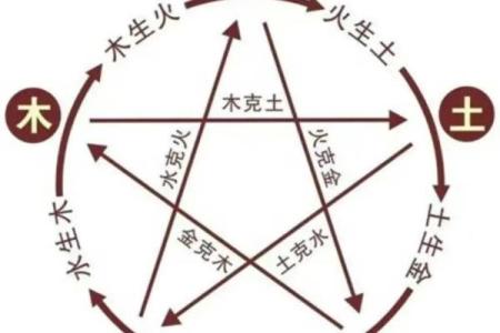 探寻九五年腊月二十七的命运奥秘：命理与人生的交织