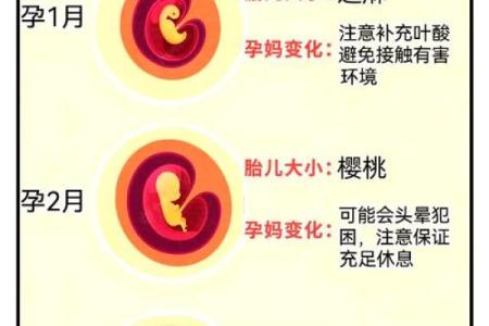 揭秘农历六月份出生的孩子命理特点与性格分析