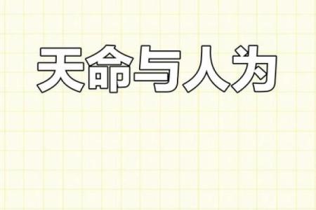 探索命运的奥秘：揭示你自己的命是什么命