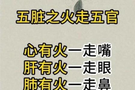 庐中火命:火的力量与人生的智慧