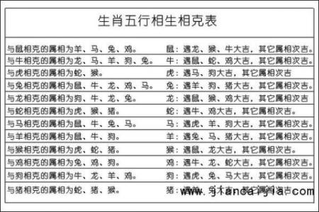 牛年五行属性解析:了解命理与人生路径的奥秘