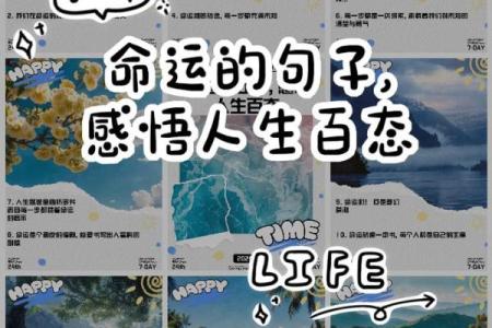 命里起伏:探索人生困惑与命运的深层连接