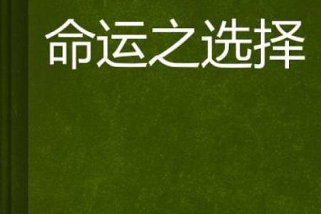 可惜之命:当人生的选择与命运相遇时