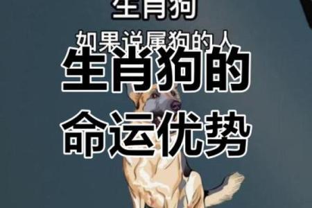 了解1994年属狗人的命运与性格特征