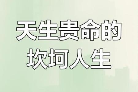 命理学中的双贵：揭示你人生的财富与机遇