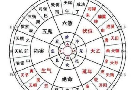 坤命如何选择最佳配命,完美和谐的命理搭配探秘