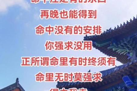 命里流年带一孤，探寻孤独背后的智慧与成长