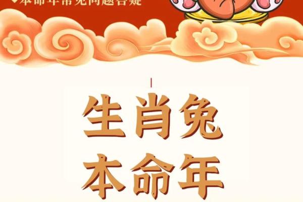 2024年本命年解读：生肖兔的幸运与挑战