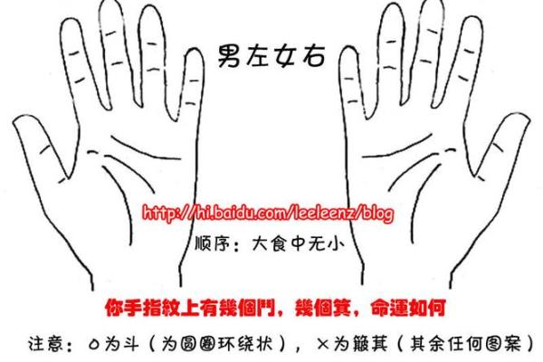 九月出生的人命运解析：性格、优势与未来机会