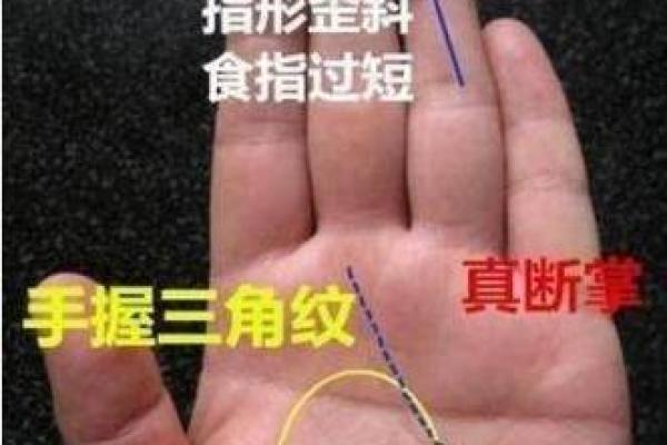 揭秘命带与命关：探寻人生的命运密码