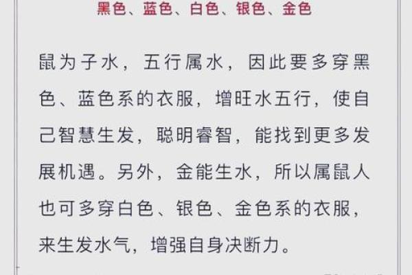命里无金的生肖解析与动物象征探讨