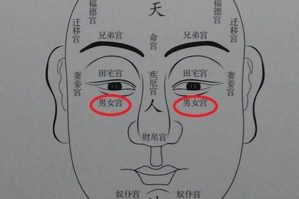 女命伏吟子女宫：命理中的映射与启示