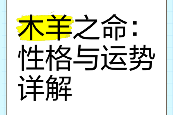 木命女性适合从事的生意探索与成功之道