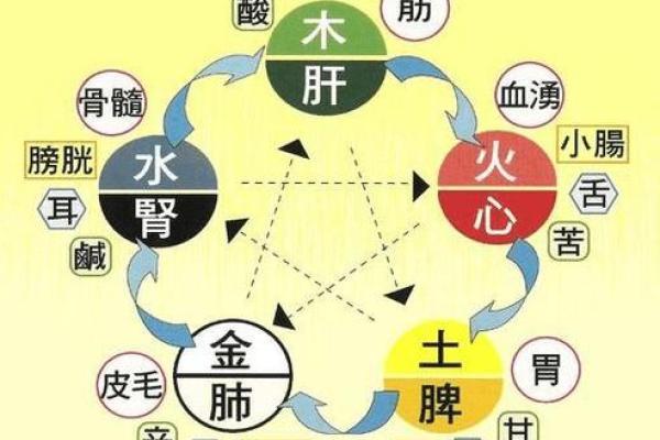 九月出生的她：五行命理揭秘与生活启示