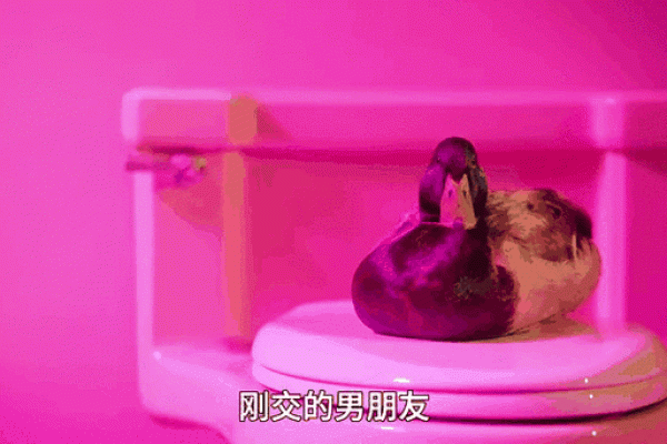 当鸭子会丢命？揭开男人背负的风险与困惑