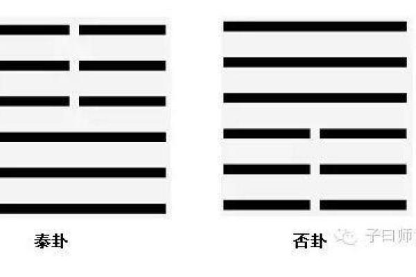女人的否卦命：适合追求的职业与生活方式探索