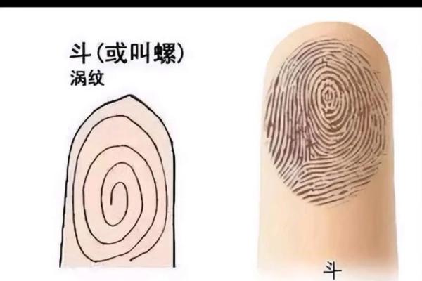 命理中“铁簸箕”的象征意义与人生启示