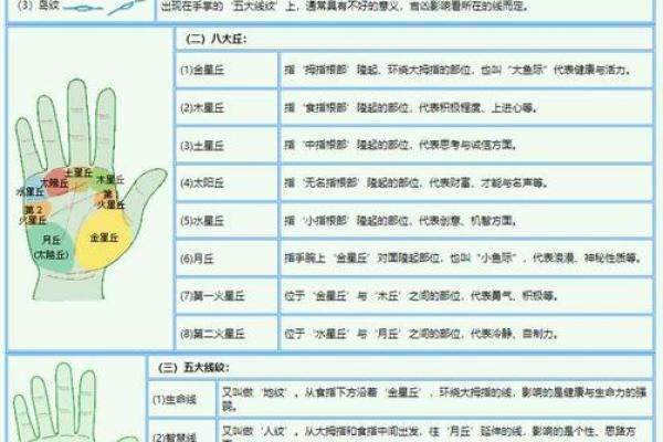 揭秘：女孩手指长尖的命运与性格分析
