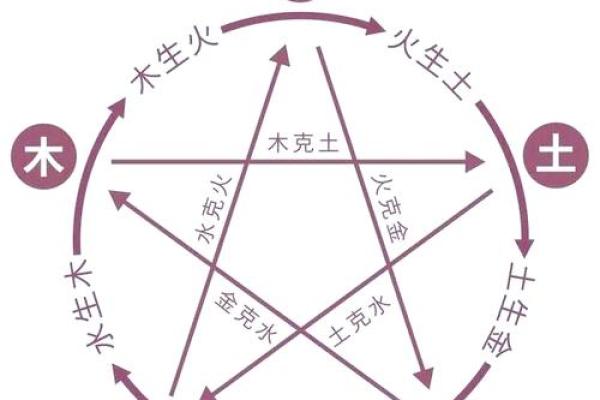 女人是菜籽命，男人到底是什么命？深度解读五行与命运的奥秘