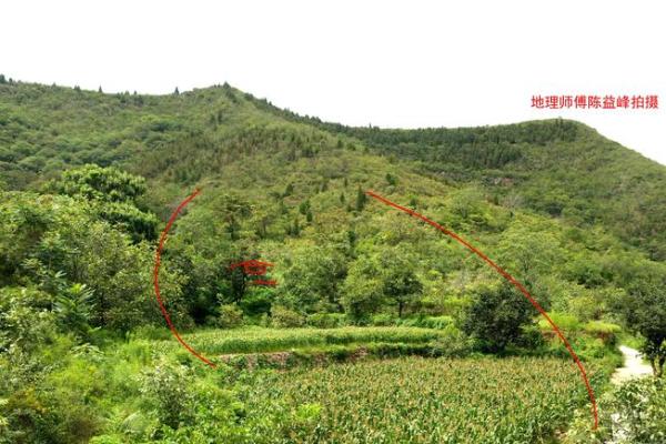 探秘禄存星：揭示命格背后的神秘力量与人生轨迹