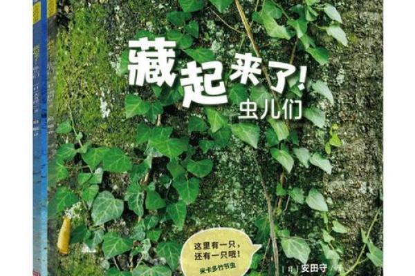 丽莎的智慧：在危机中寻求生机的妙招