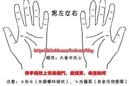 九月出生的人命运解析：性格、优势与未来机会
