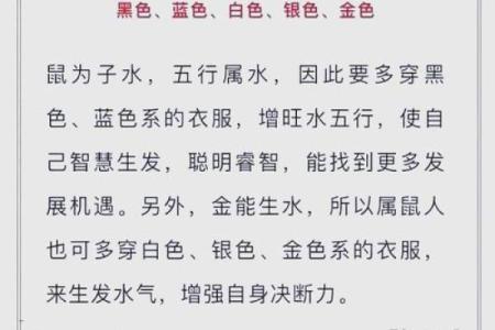 命里无金的生肖解析与动物象征探讨