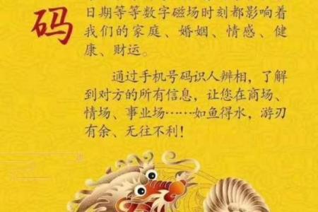探秘命卦中的五行之灵：数字的奥秘与人生的指引