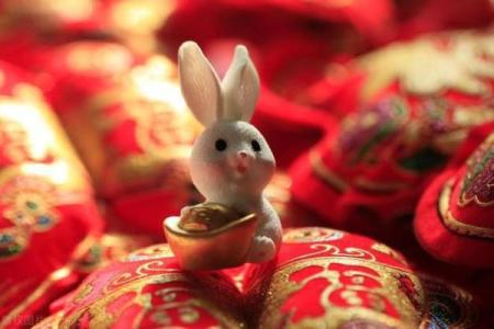 神秘的生肖动物：温柔而坚韧的兔子之旅