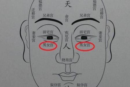 女命伏吟子女宫:命理中的映射与启示