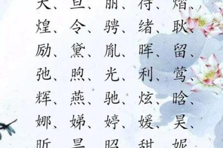 适合命里缺火女孩的小名推荐，点燃生活的每一刻！