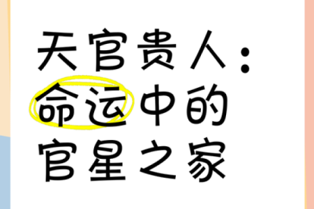 探秘命理：女命坐天官的深刻含义与人生影响
