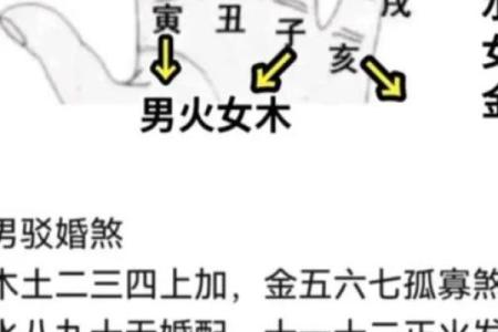 女金命与男命的最佳配对:寻求灵魂伴侣的智慧之选