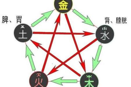 男大河水命:解密这一命理背后的深刻含义与寓意