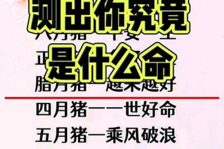可以拿命换你的人,究竟是什么样的存在?