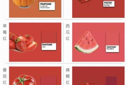 女水命出嫁:婚纱颜色的秘密与选择指南