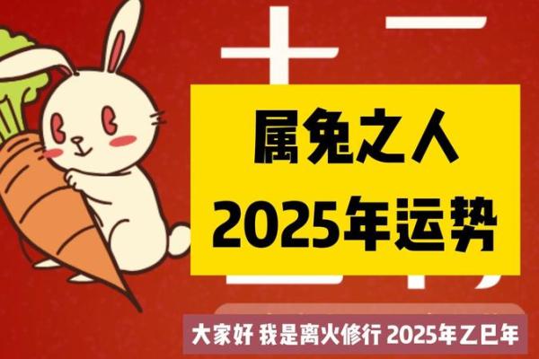 探讨属兔的命运：什么命令最佳，助你福运亨通！