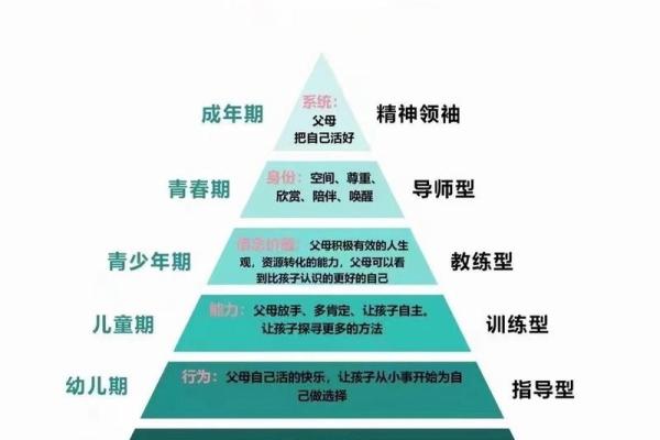 命理中带父母官的含义及其影响探索