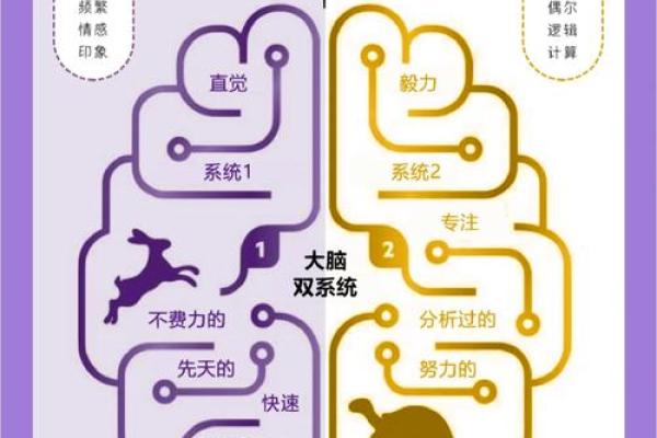 命理中的女性命格解析：洞悉你的命运与人生轨迹