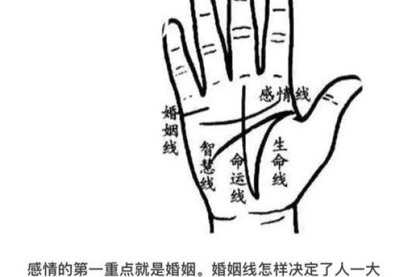 男人手短粗的命运解析：从手相看性格与运势