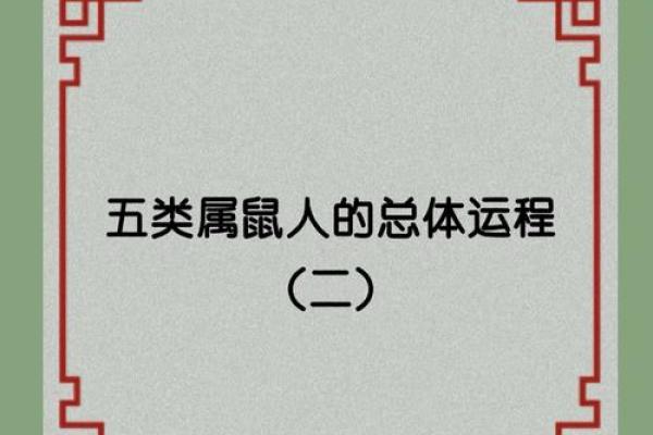 农历五月出生的老鼠：命运与性格的综合解析