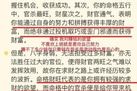 破解命格15的奥秘,揭示命运背后的深层含义