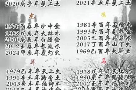 如何免费查询五行属相,了解自己的命运与性格