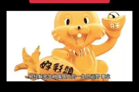 探讨属兔的命运:什么命令最佳,助你福运亨通!
