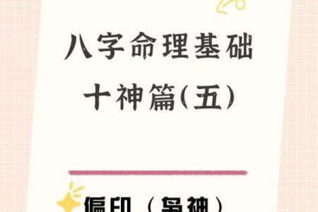 偏印格命主角,运势与用神分析!