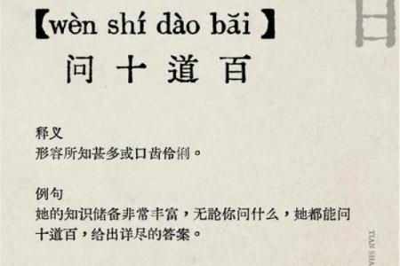 木命之美:与道师共修的智慧之旅