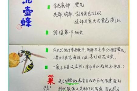 探索生命的奇迹与奥秘：发现生命的多样性与美丽