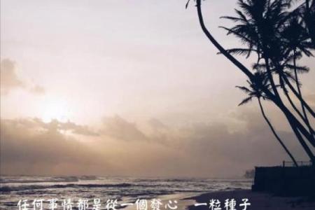 没奔波命的深意:悠然自得的人生追求
