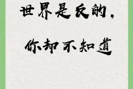 揭秘九三年农历二月初三出生人的命运与性格特点