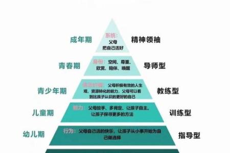 命理中带父母官的含义及其影响探索